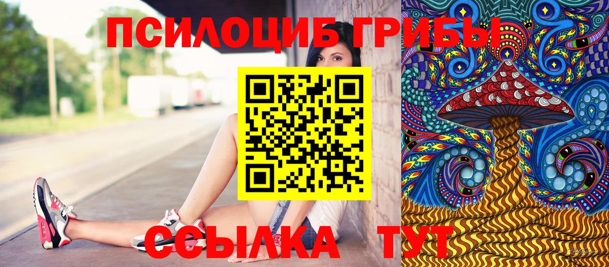 Псилоцибиновые грибы Magic Shrooms  Псилоцибиновые грибы Magic Shrooms  закладки  Петропавловск-Камчатский  Вход с VPN 